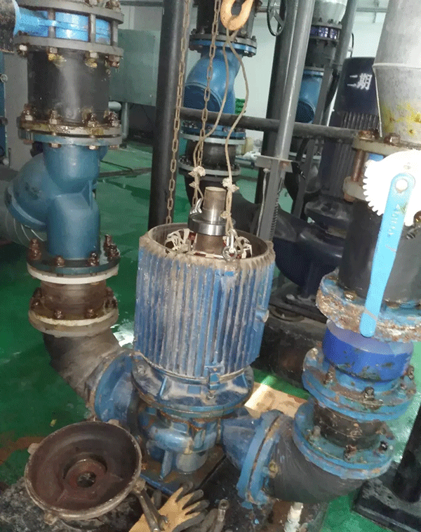 電機(jī)如何適應(yīng)變頻起動新技術(shù)——西安泰富西瑪電機(jī)(西安西瑪電機(jī)集團(tuán)股份有限公司)官方網(wǎng)站 電機(jī)如何適應(yīng)變頻起動新技術(shù)——西安泰富西瑪電機(jī)(西安西瑪電機(jī)集團(tuán)股份有限公司)官方網(wǎng)站