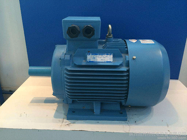 電廠(chǎng)高效節(jié)能電機(jī)的應(yīng)用研究——西安泰富西瑪電機(jī)（西安西瑪電機(jī)集團(tuán)股份有限公司）官方網(wǎng)站